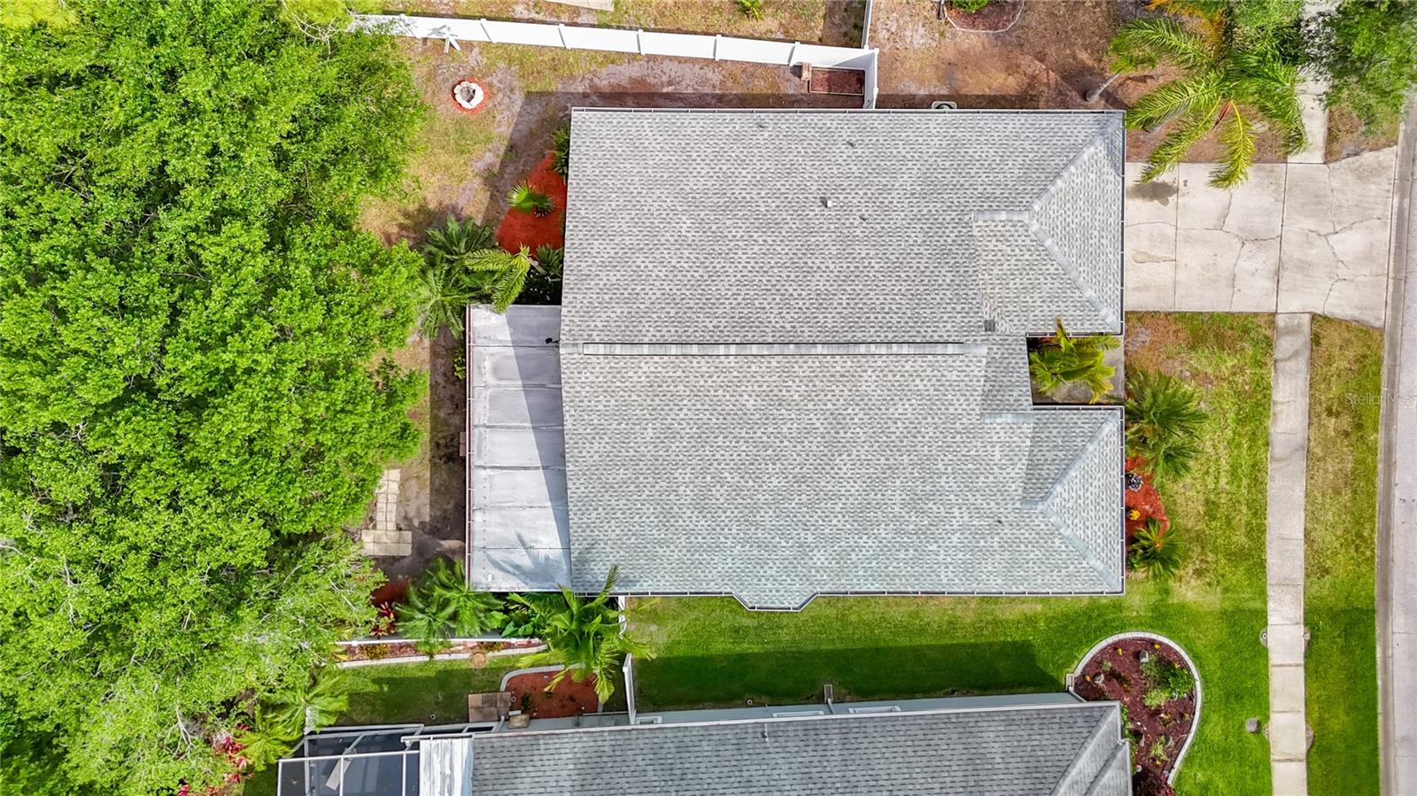 Bird's Eye