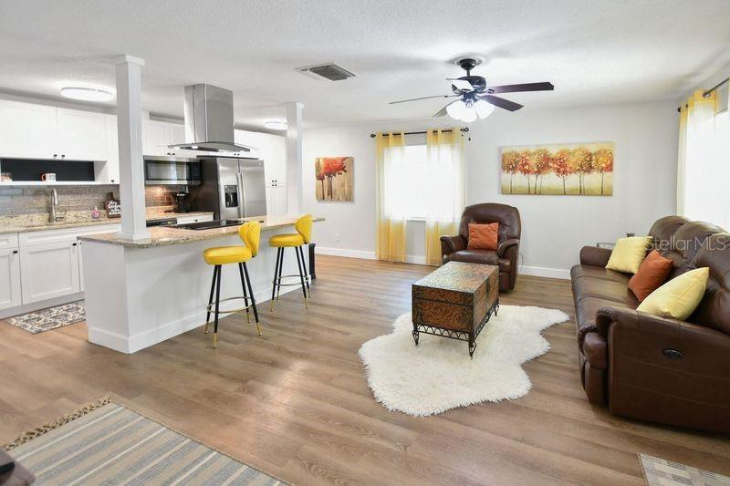 Living room/ Kitchen