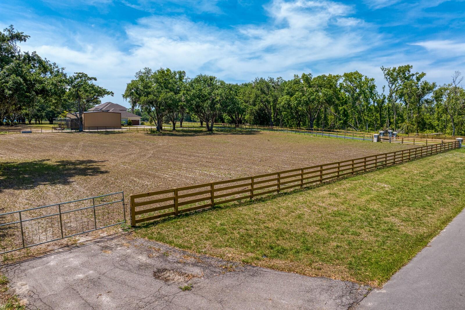 Plenty of space for kids and pets to play!
