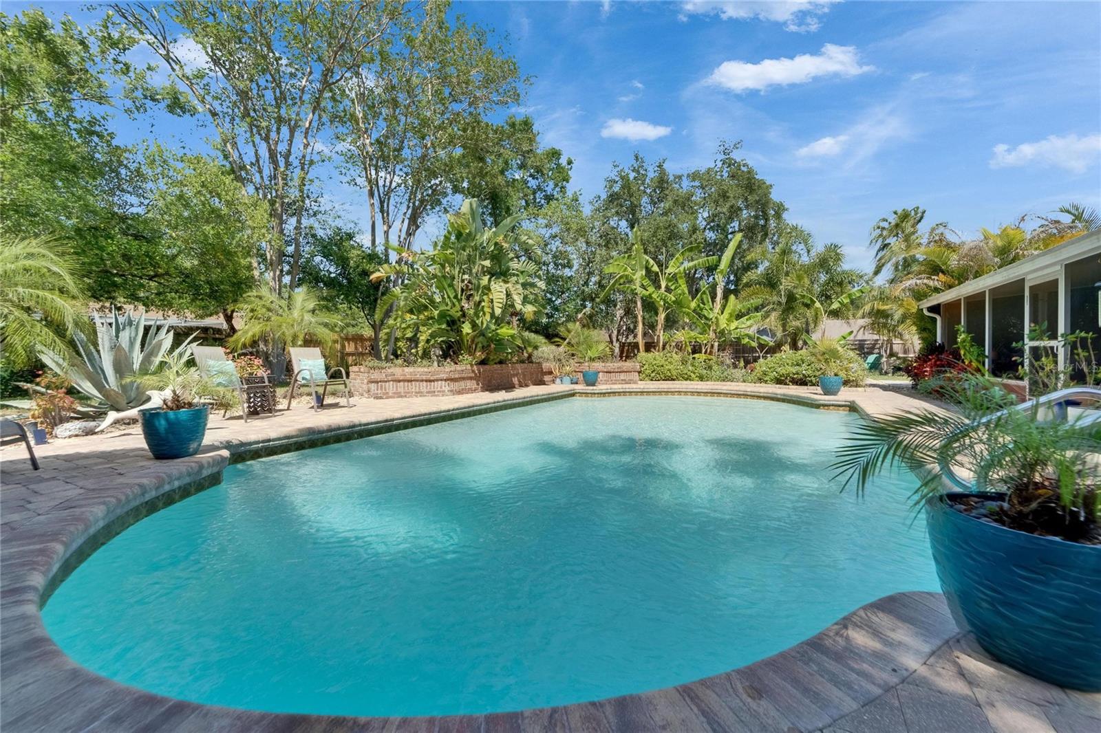 Stunning Pool