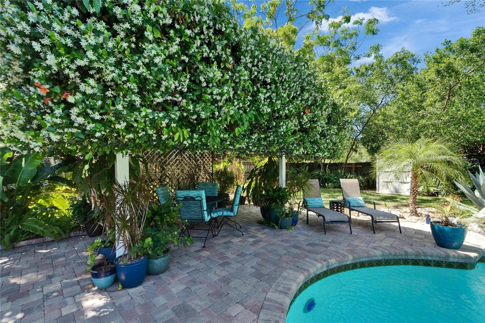 Jasmine Covered Trellis