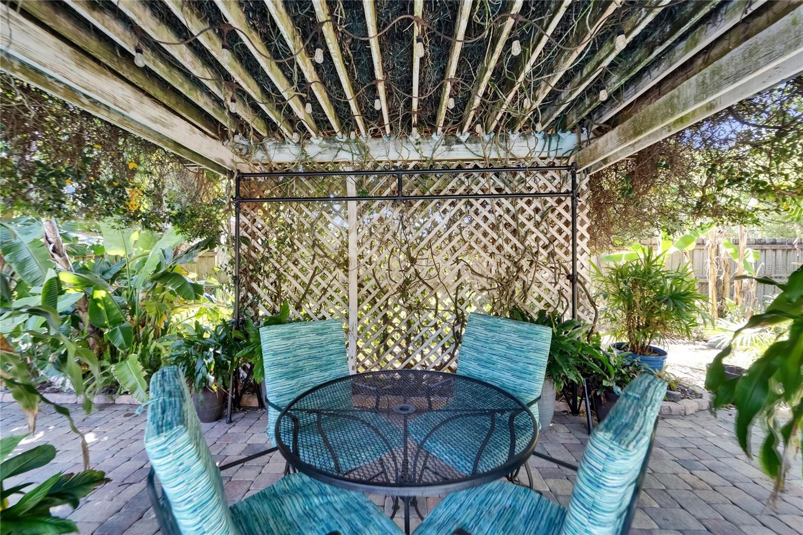 Jasmine Covered Trellis
