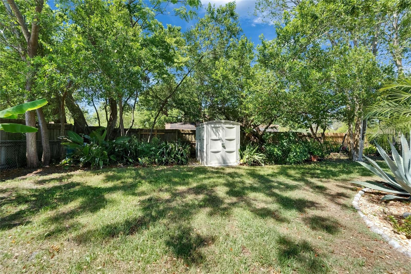 Expansive Yard