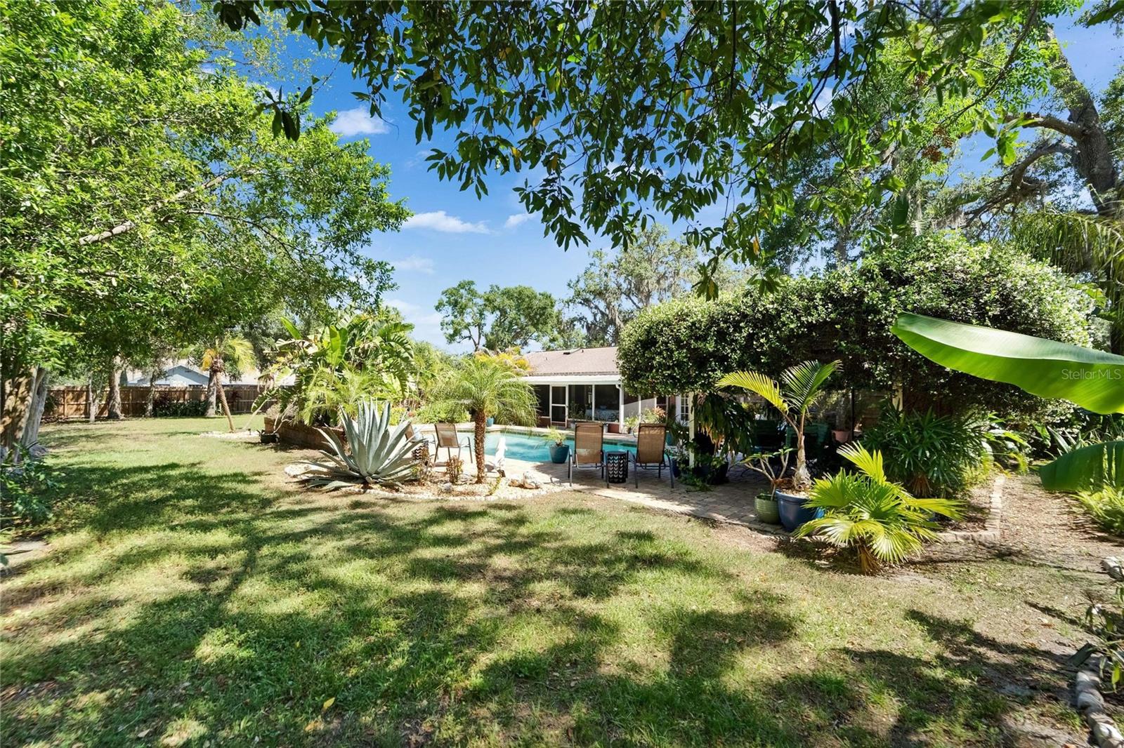 Expansive Yard