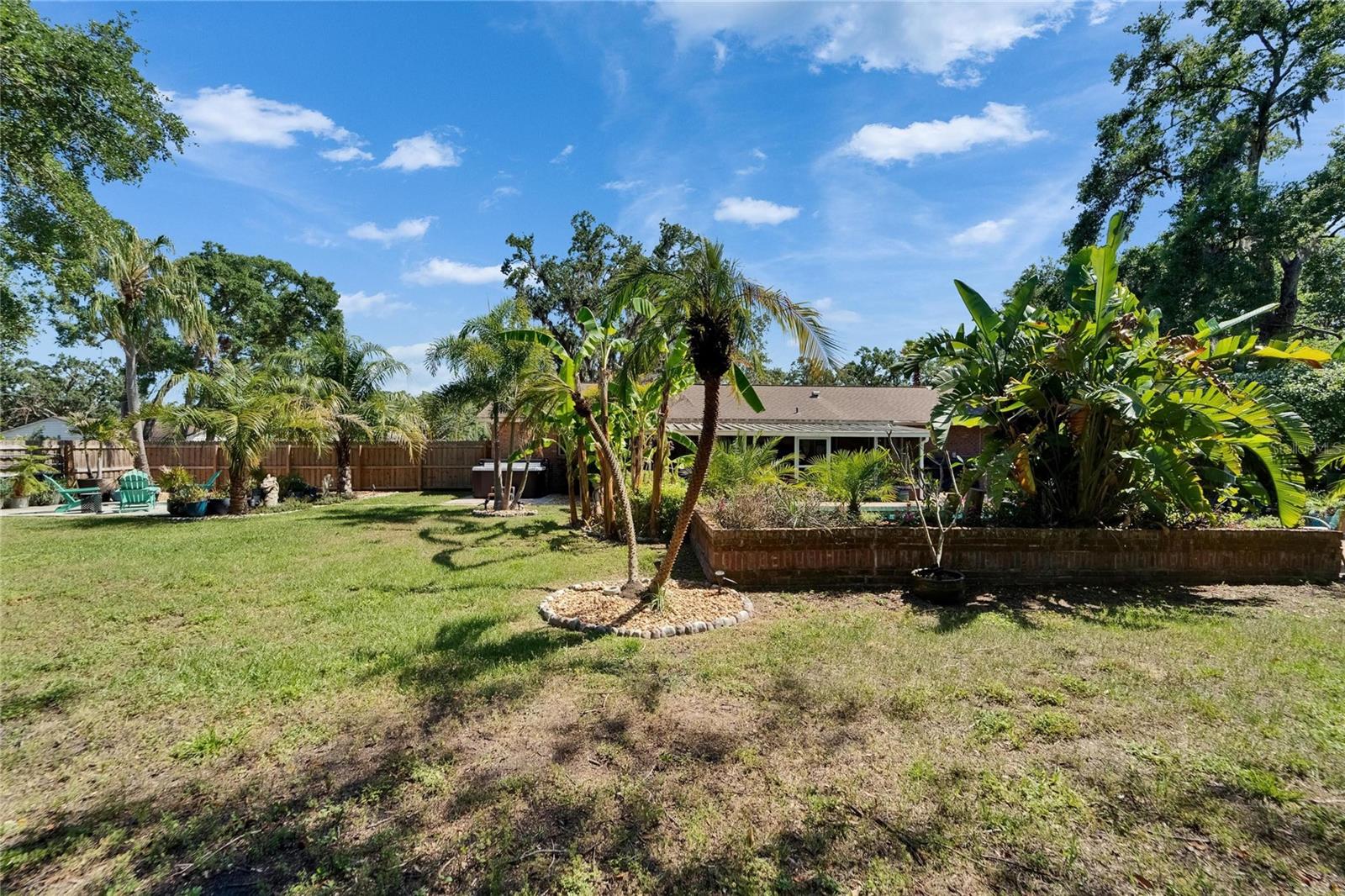 Expansive Yard