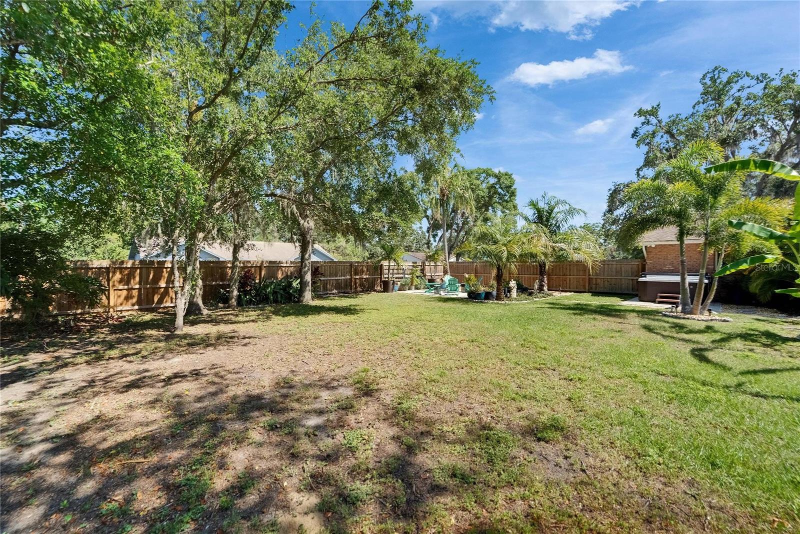 Expansive Yard