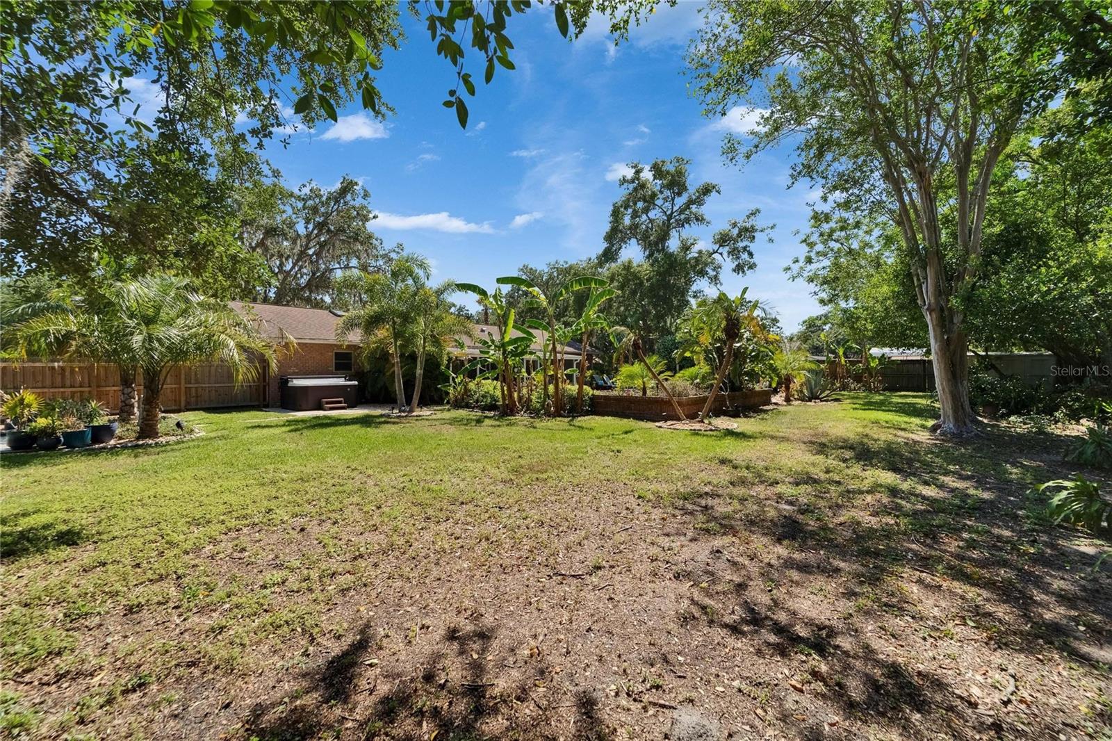 Expansive Yard
