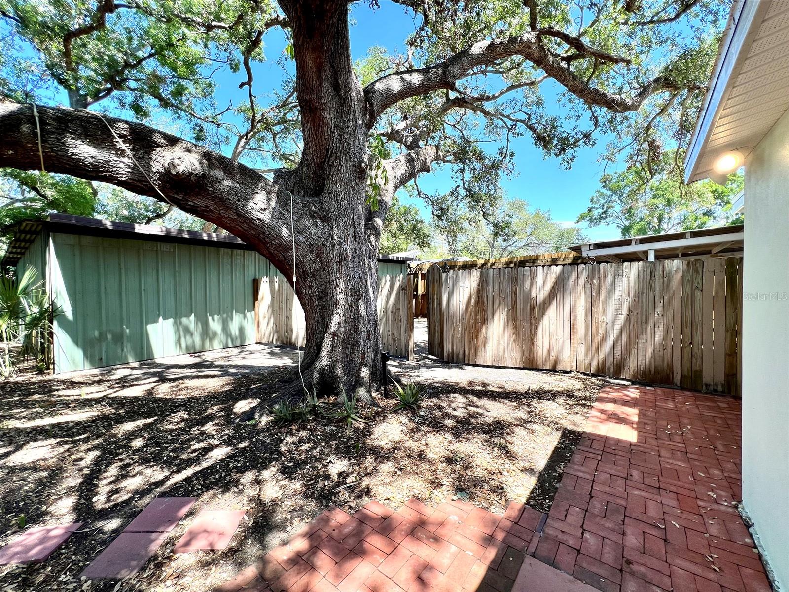 Patio/Workshop View