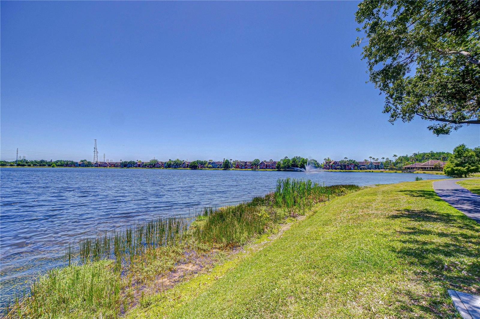 Lake View Toward Fountain