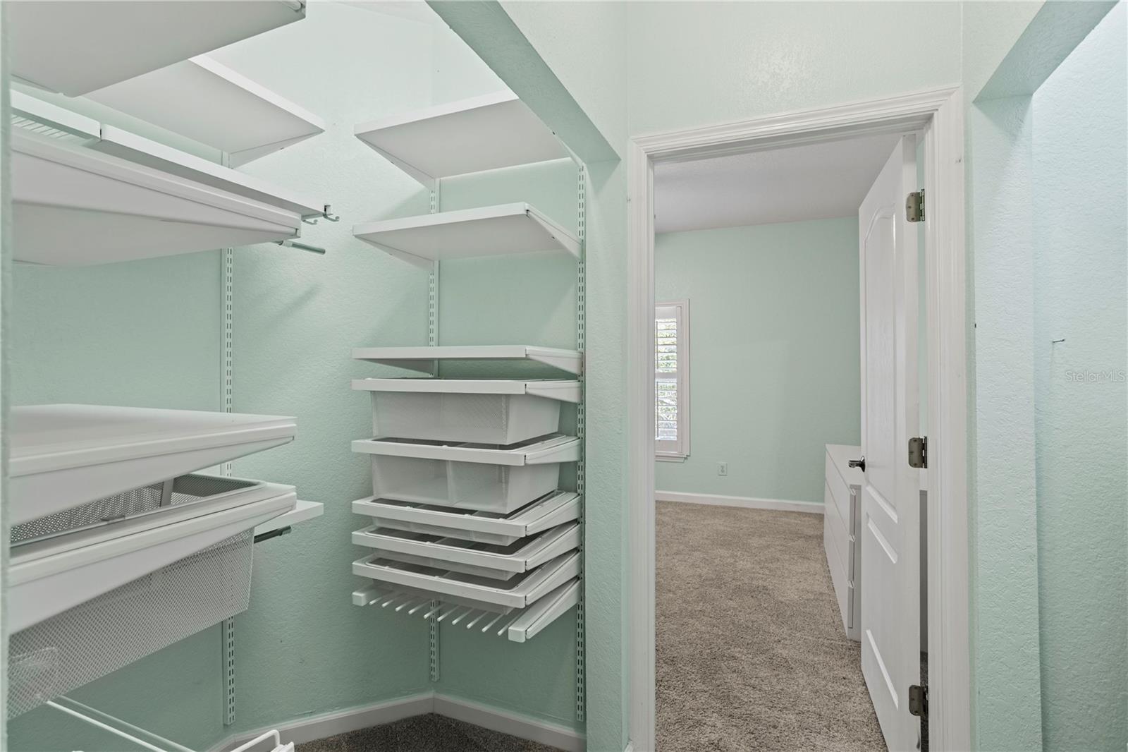 The primary bedroom has a spacious walk-in closet