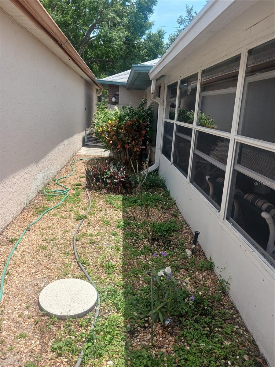 Side Yard