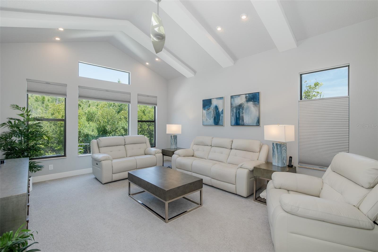 Large bonus room w/ a wall of windows!