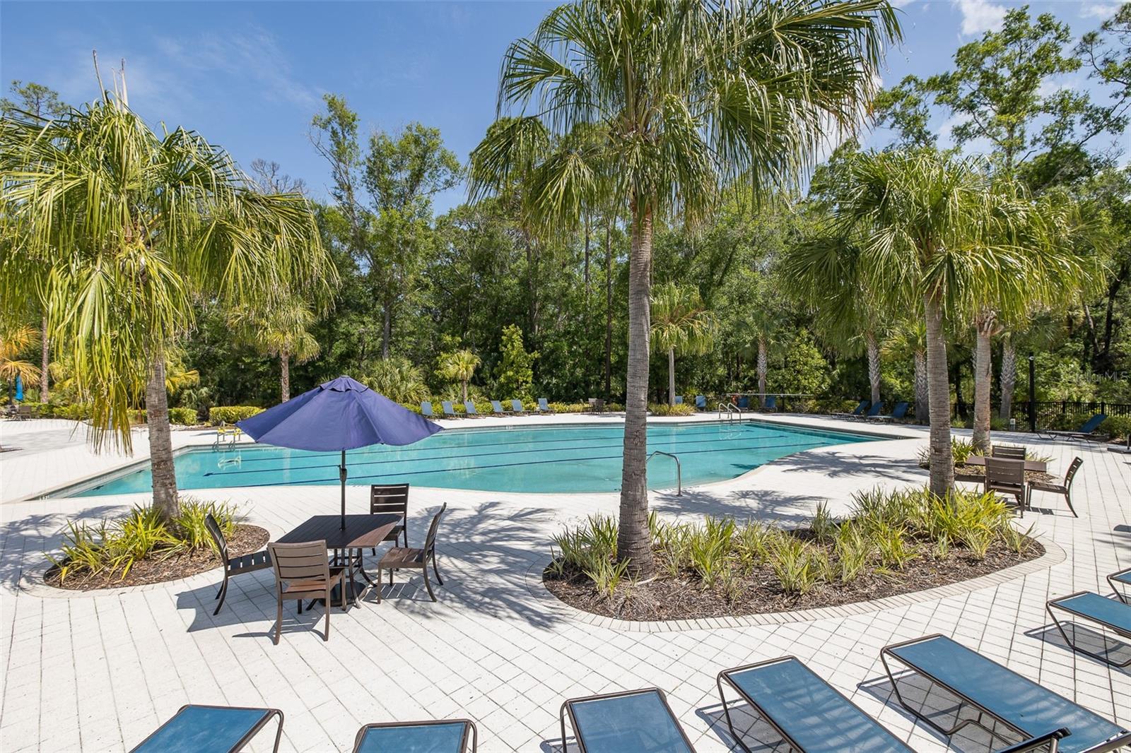 Community Pool!