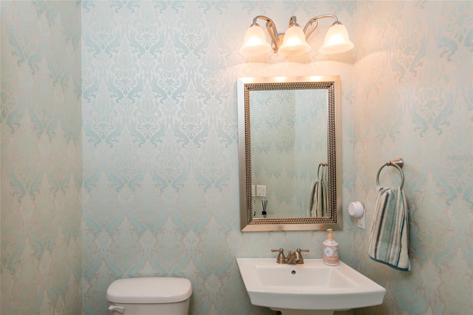 Downstairs half bath