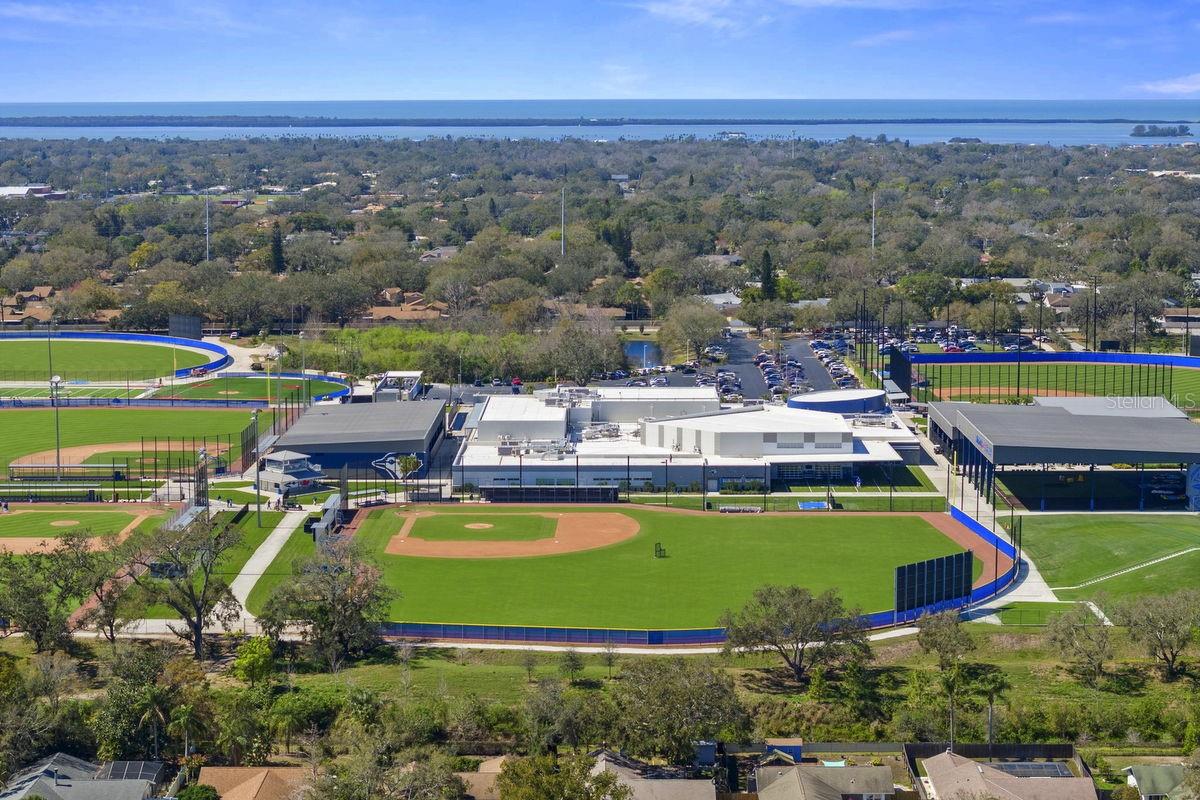 Blue Jays Complex