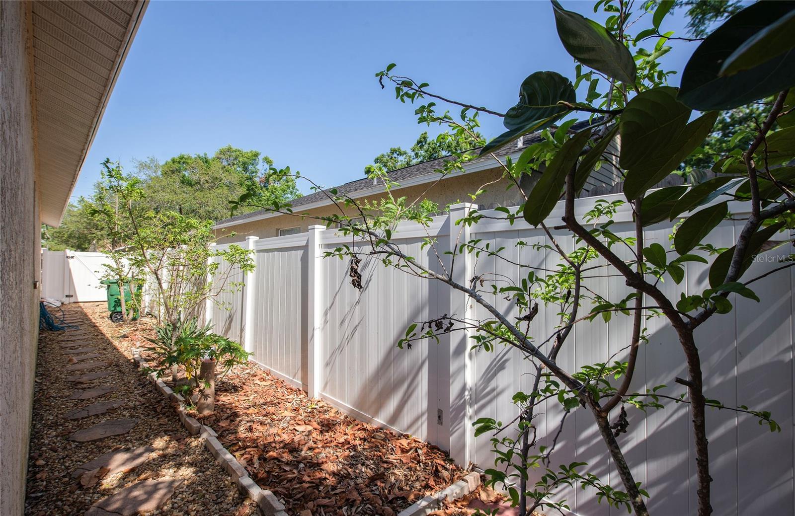 Side garden with a variety of fruit trees