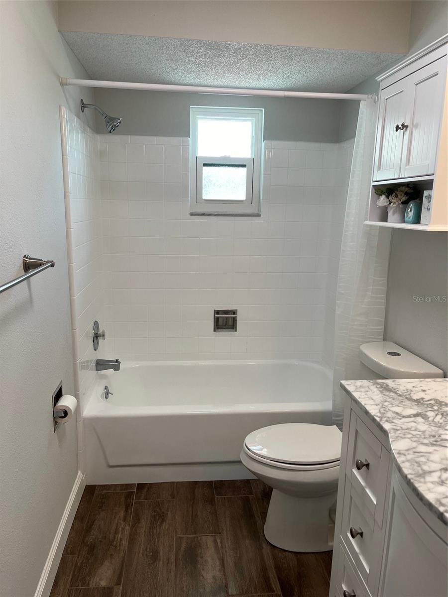 Hall bathroom