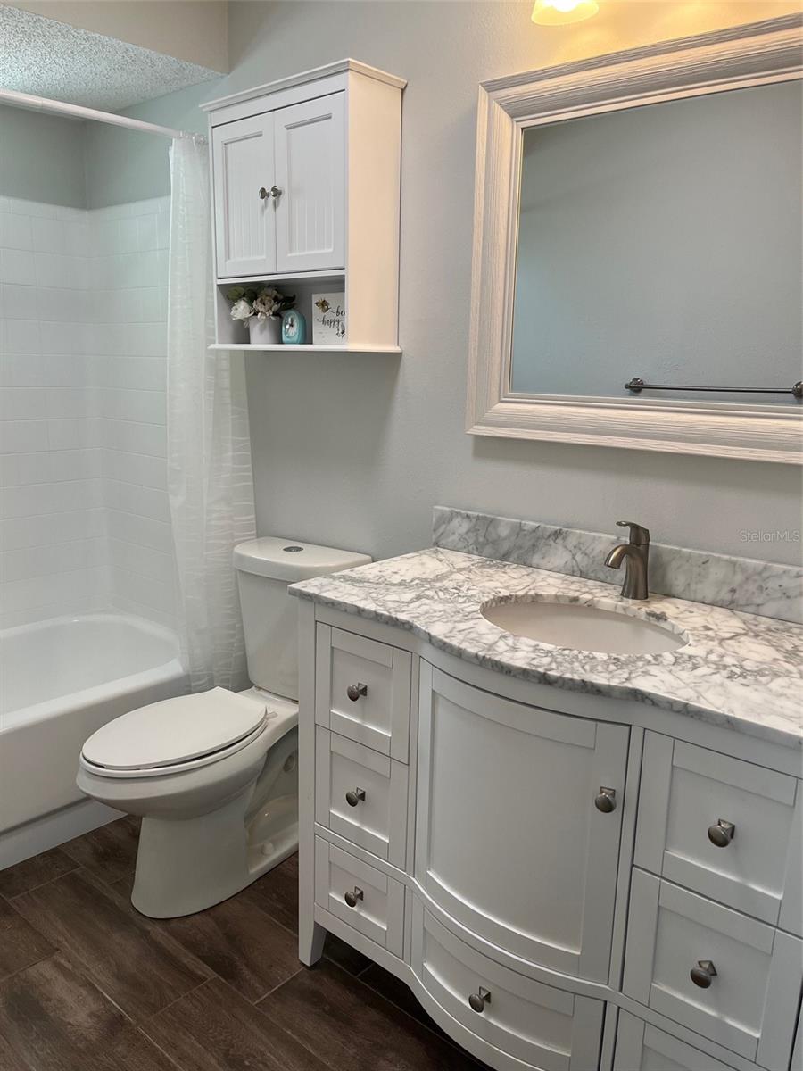 Hall bathroom