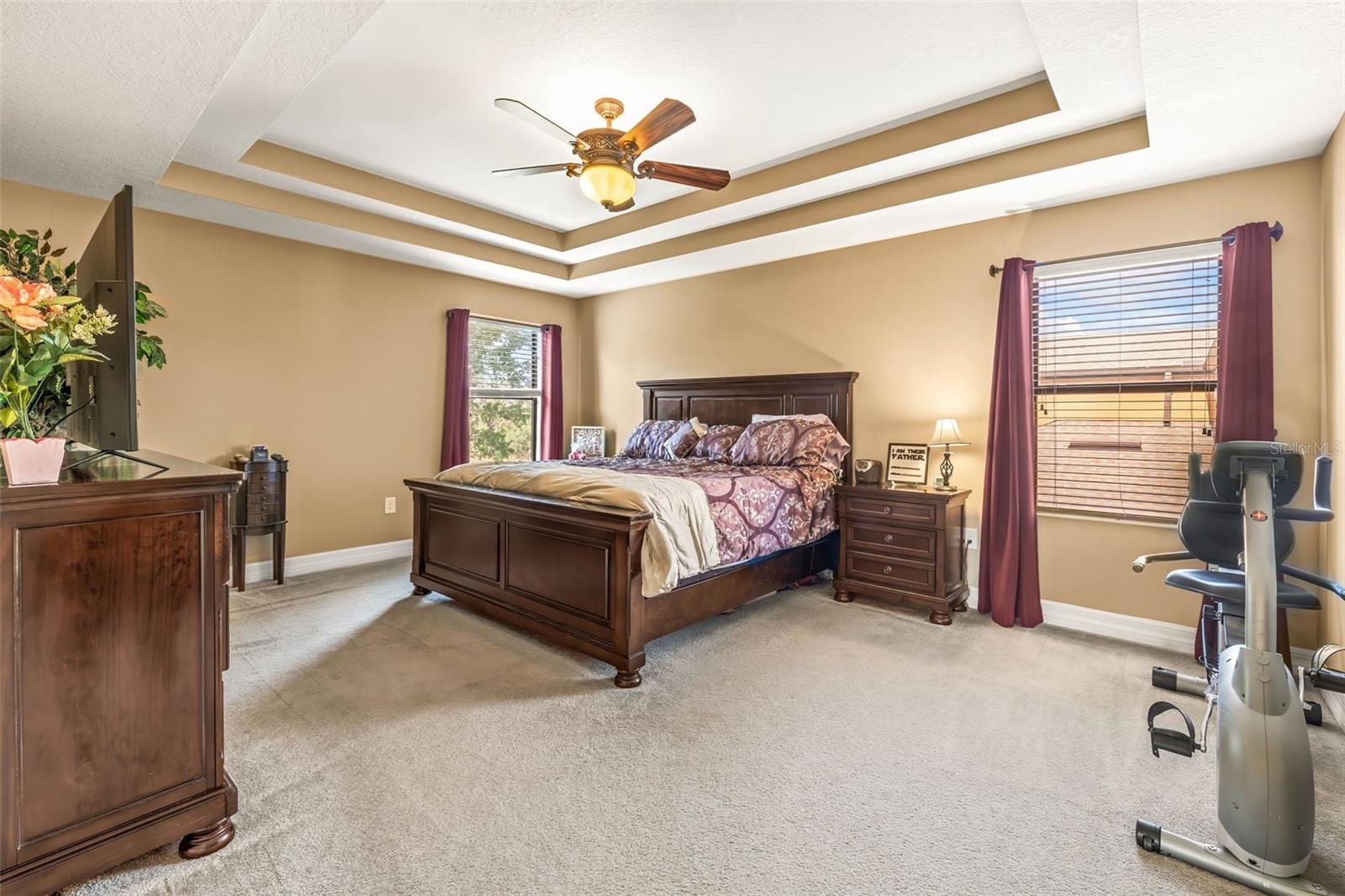 Primary suite has double tray ceiling, backyard views, and ensuite bath with walk in closets.