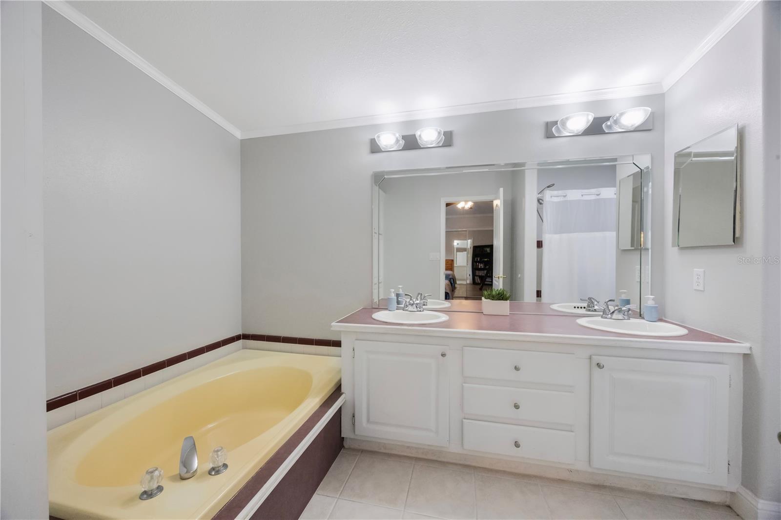 Master Bedroom Bathroom Garden Tub and two sinks