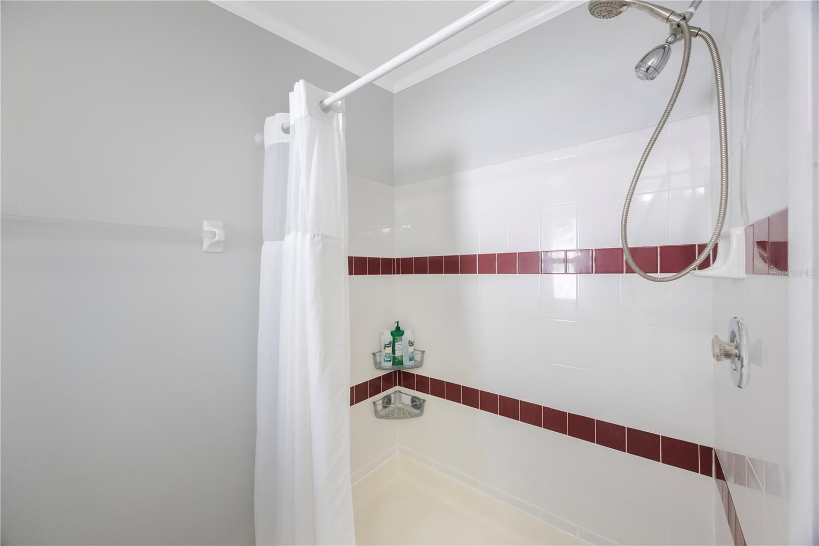 Master Bedroom Bathroom Shower