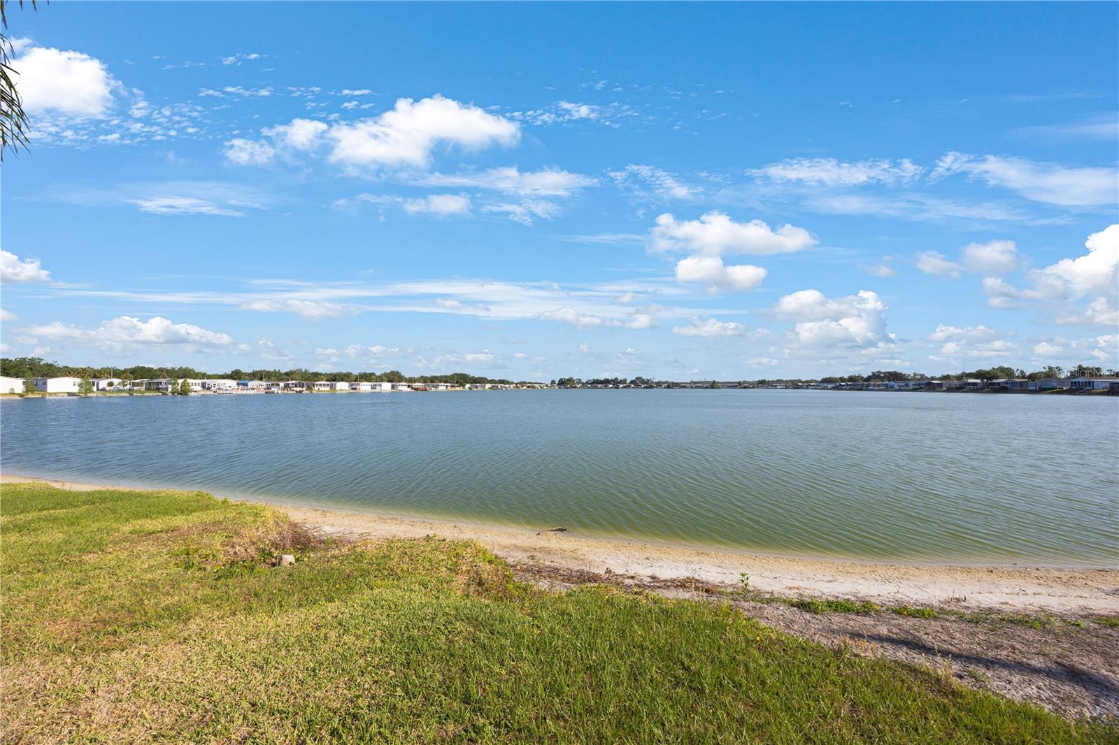 Lakes shore