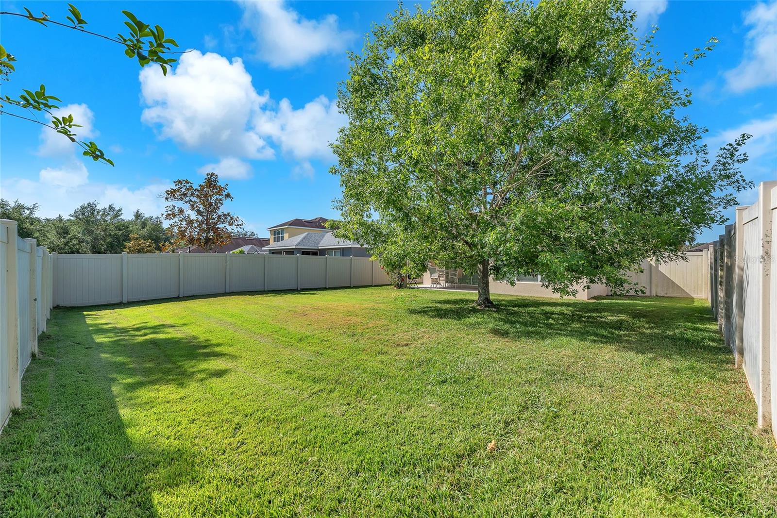 Fenced Backyard