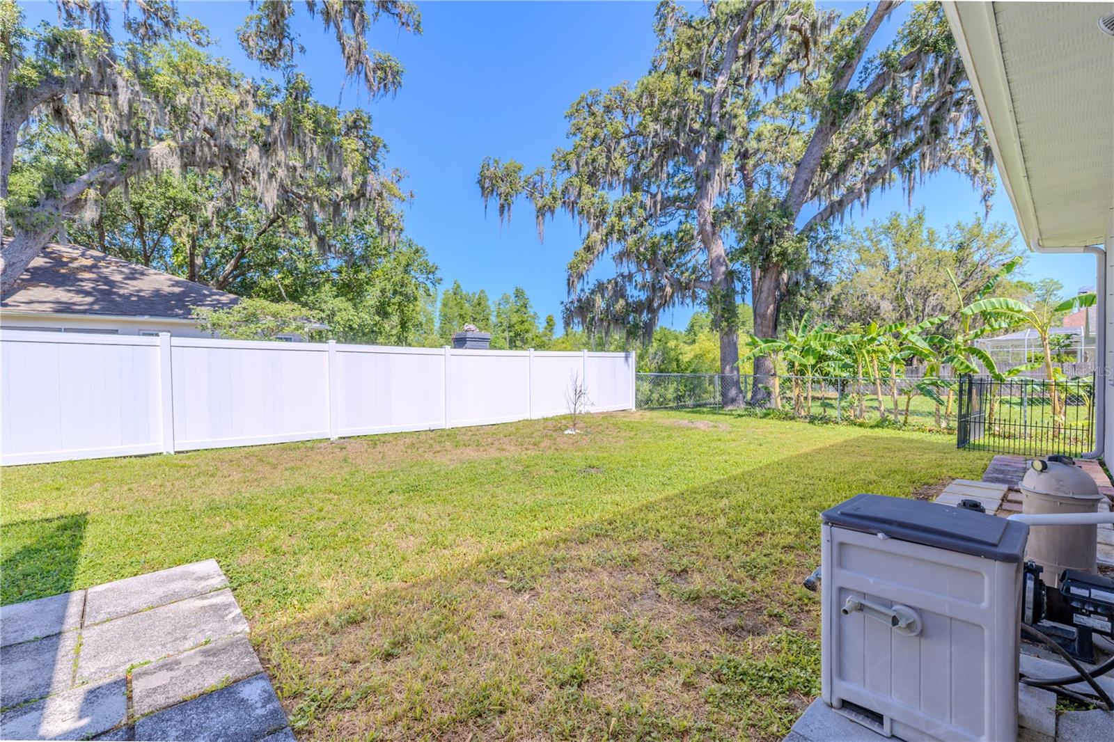 Back yard