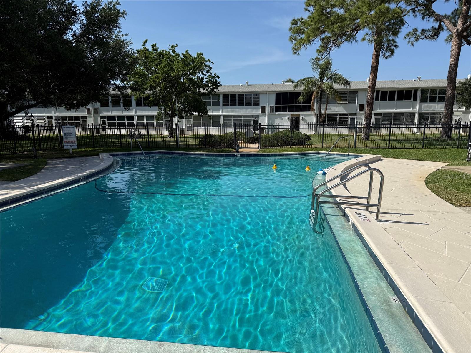 What a beautiful pool!