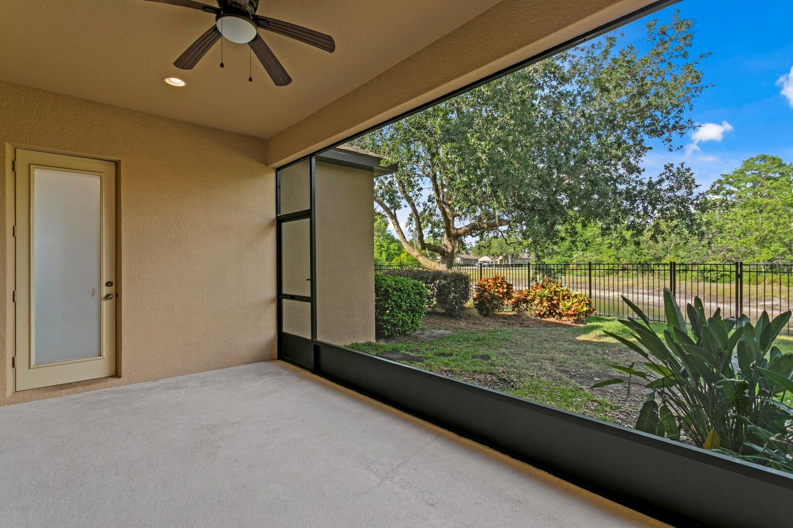 More backyard views from the lanai