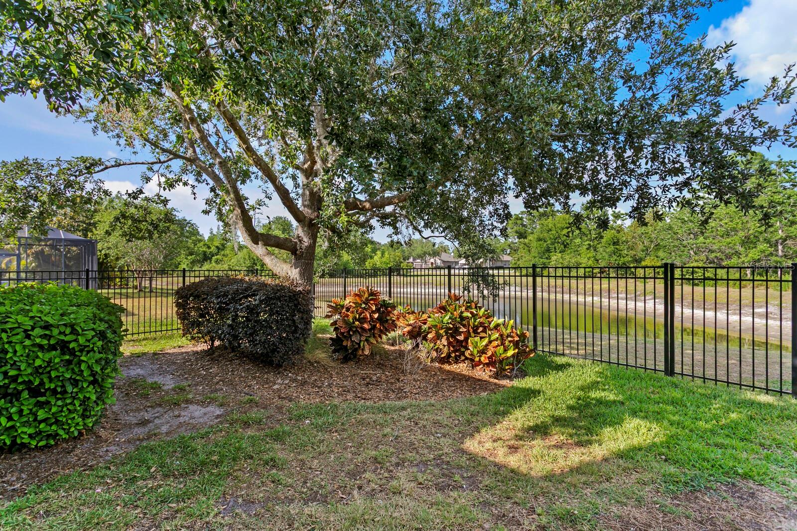 The backyard has mature landscaping