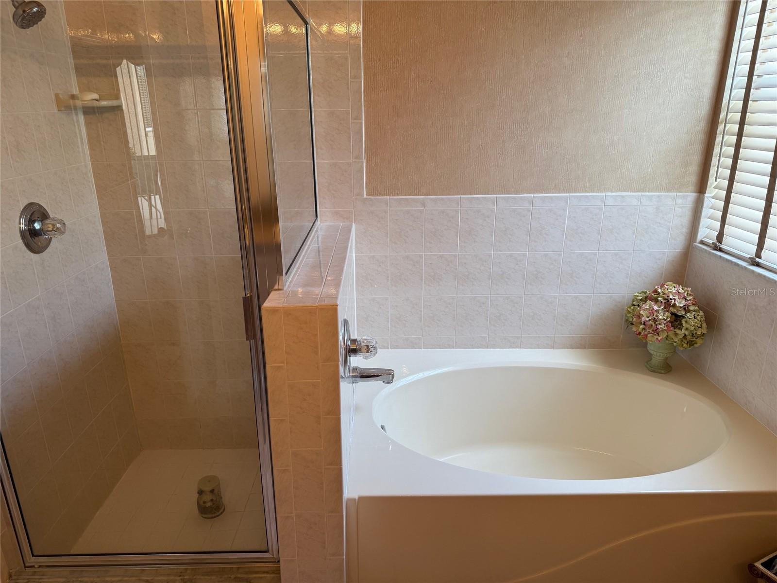 Shower & Tub