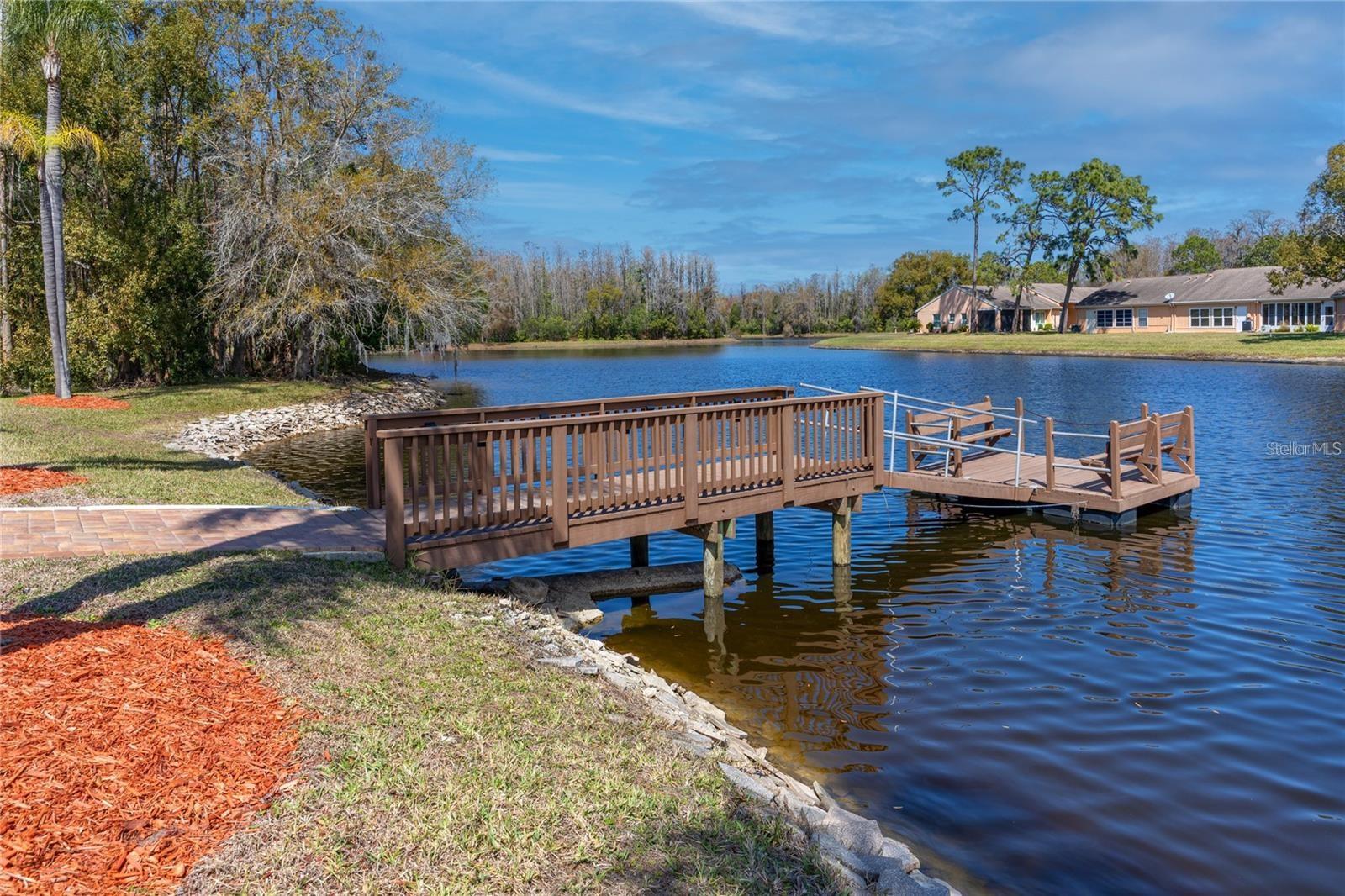 Community pond near the pool