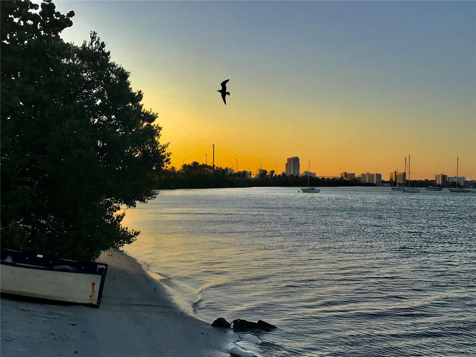 Clearwater Intercoastal Waterway
