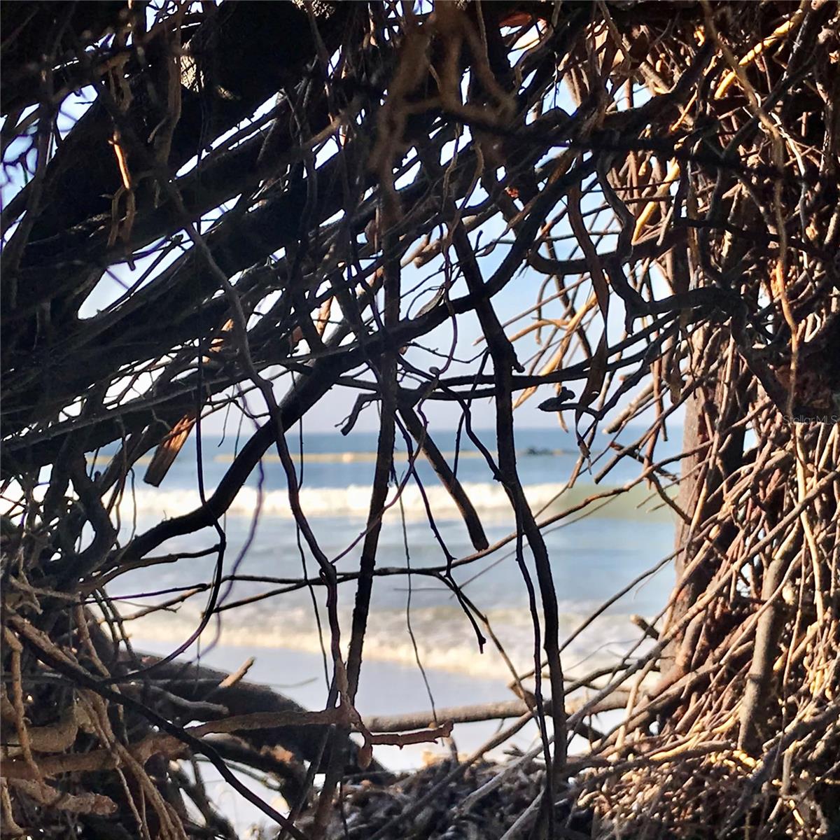 Honeymoon Island State Park
