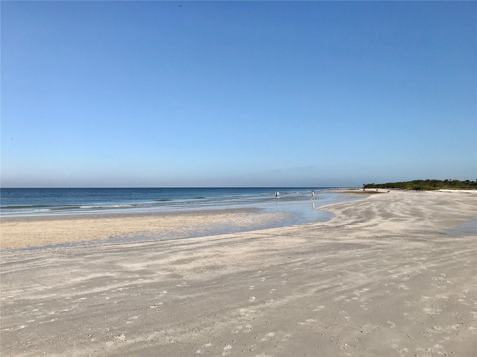 Honeymoon Island - minutes away