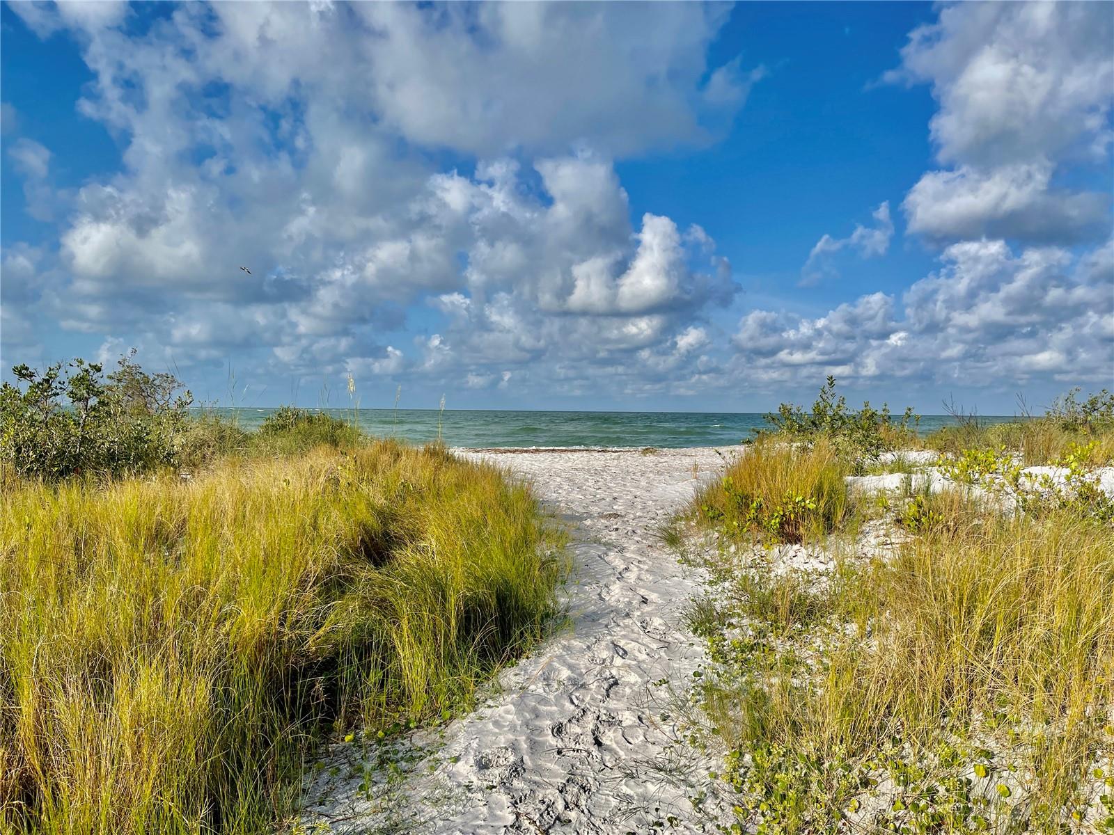 Honeymoon Island