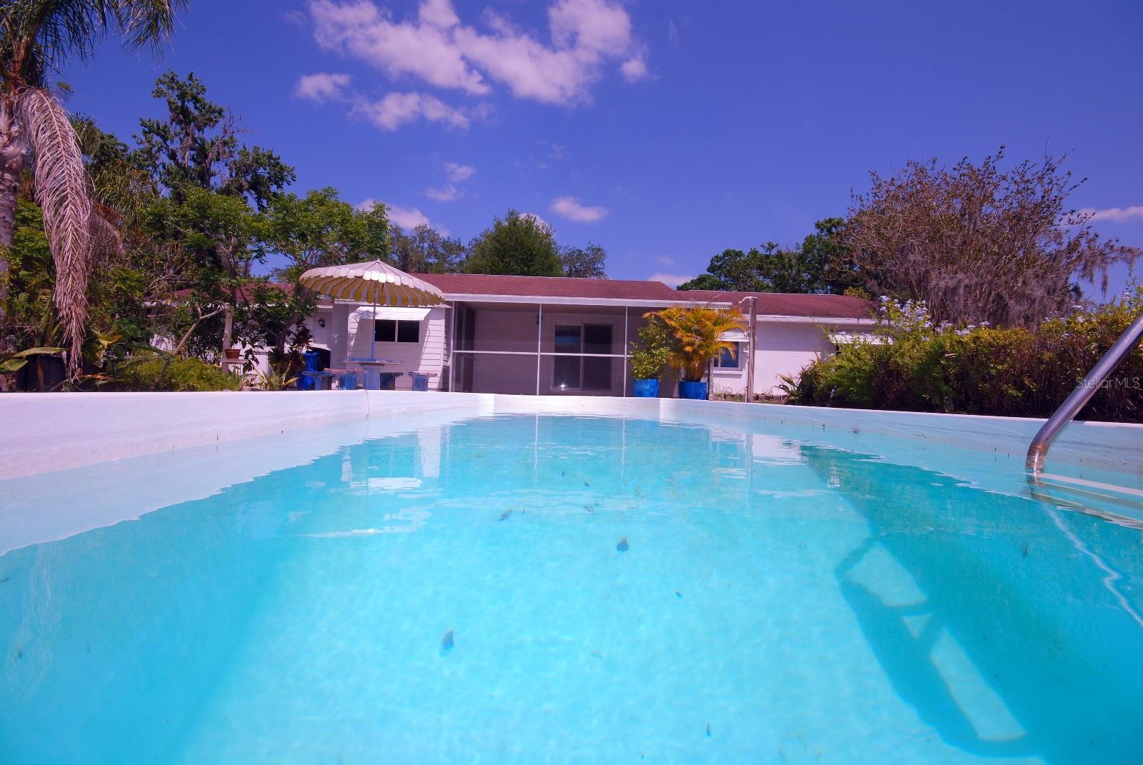 Cool-Cool Sumertime Pool...