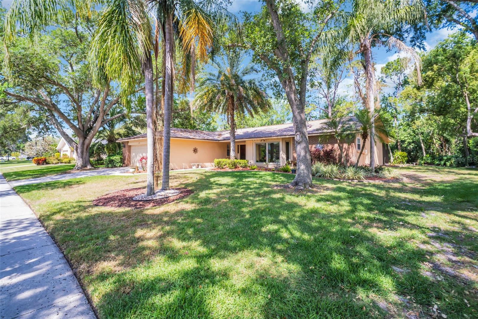 Front Yard