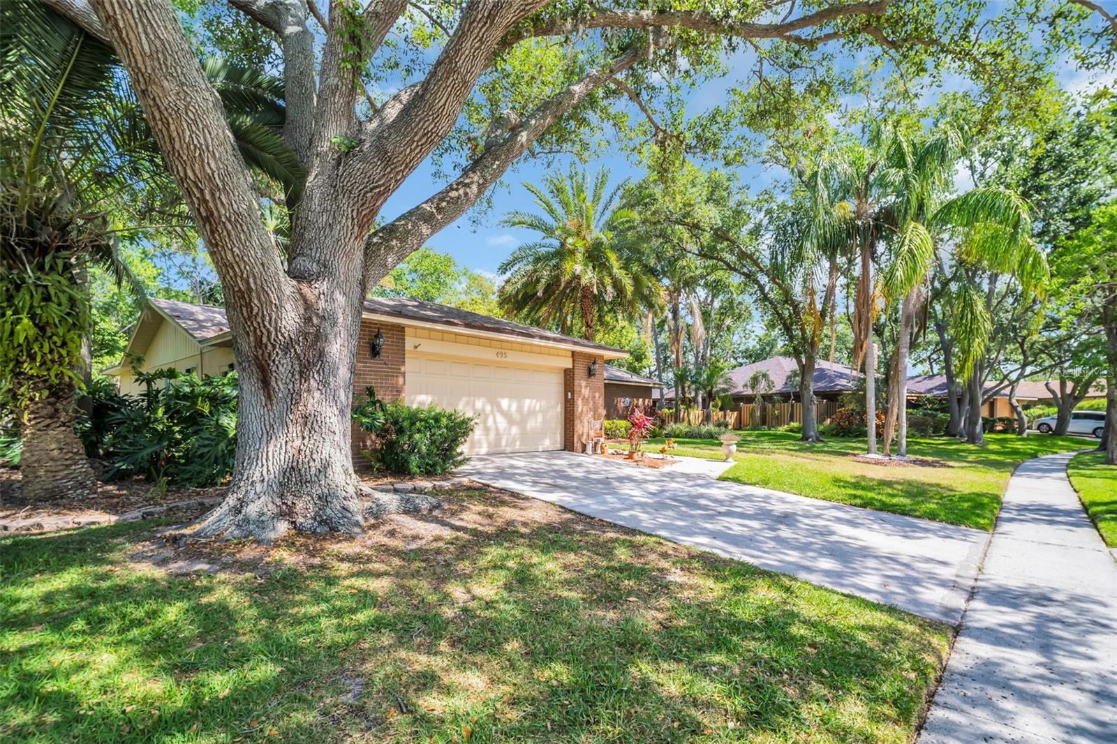 Front Yard