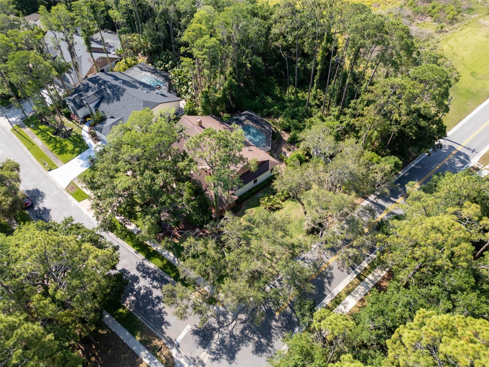 Arial View