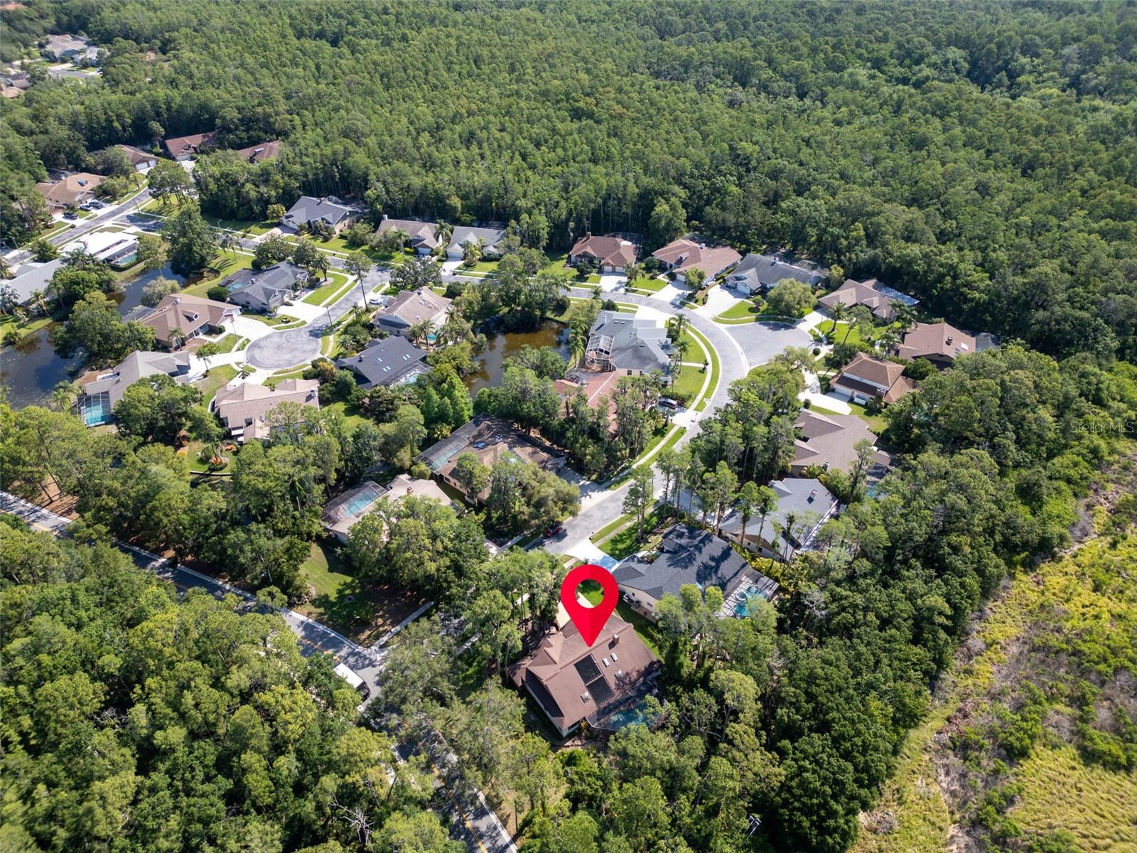 Arial View