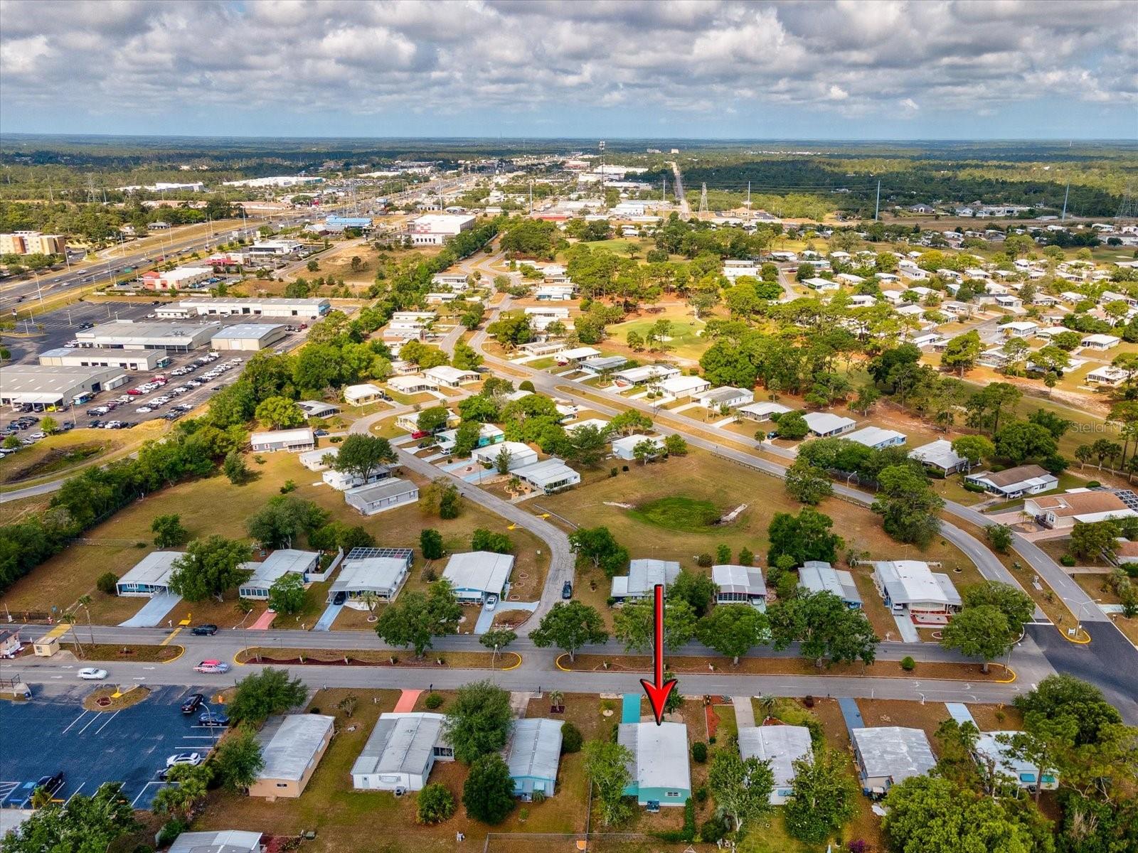 W7874981