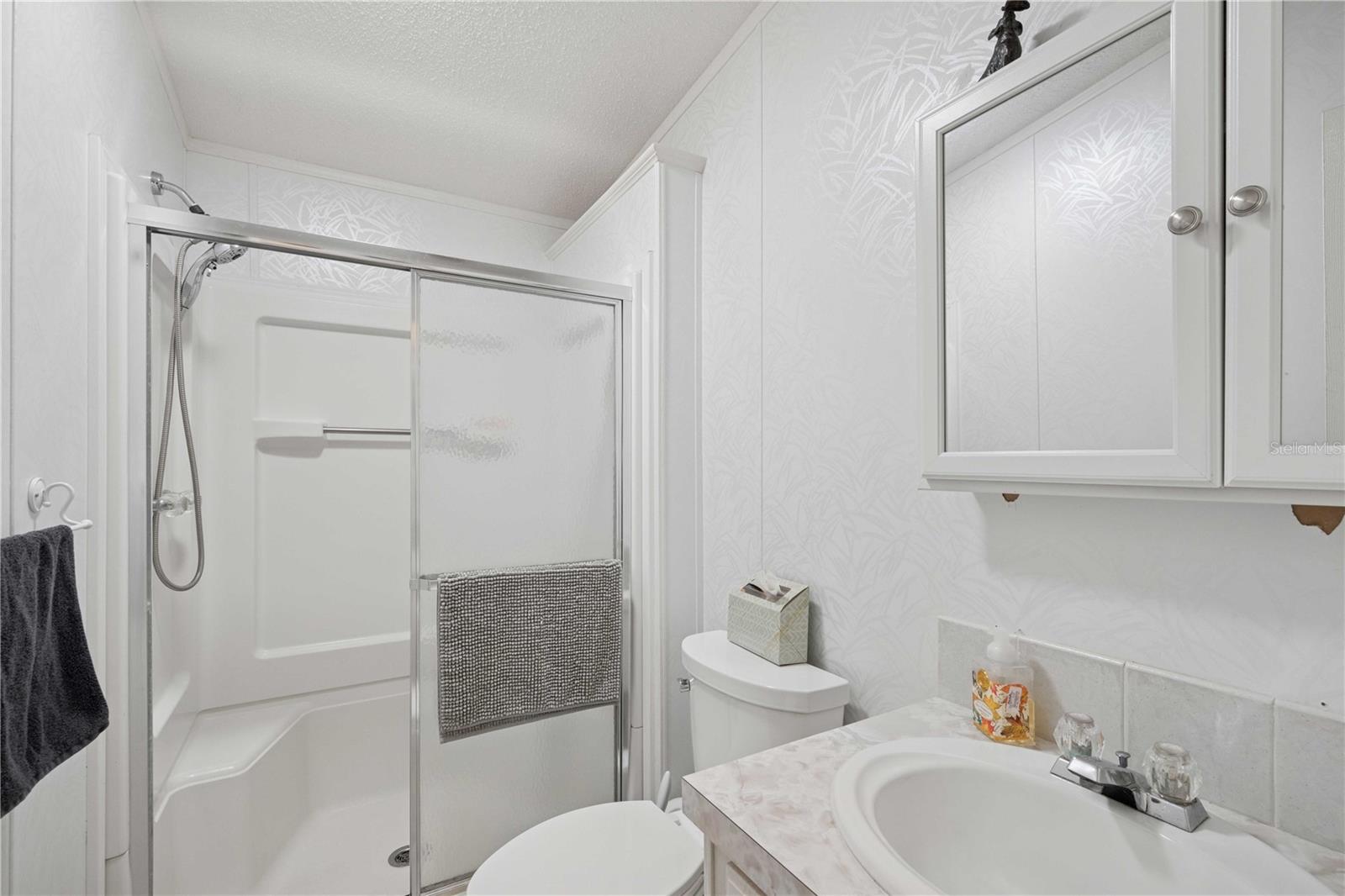 Guest bathroom.