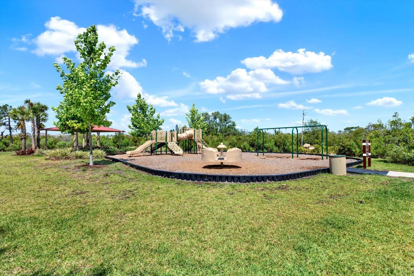 PLAYGROUND