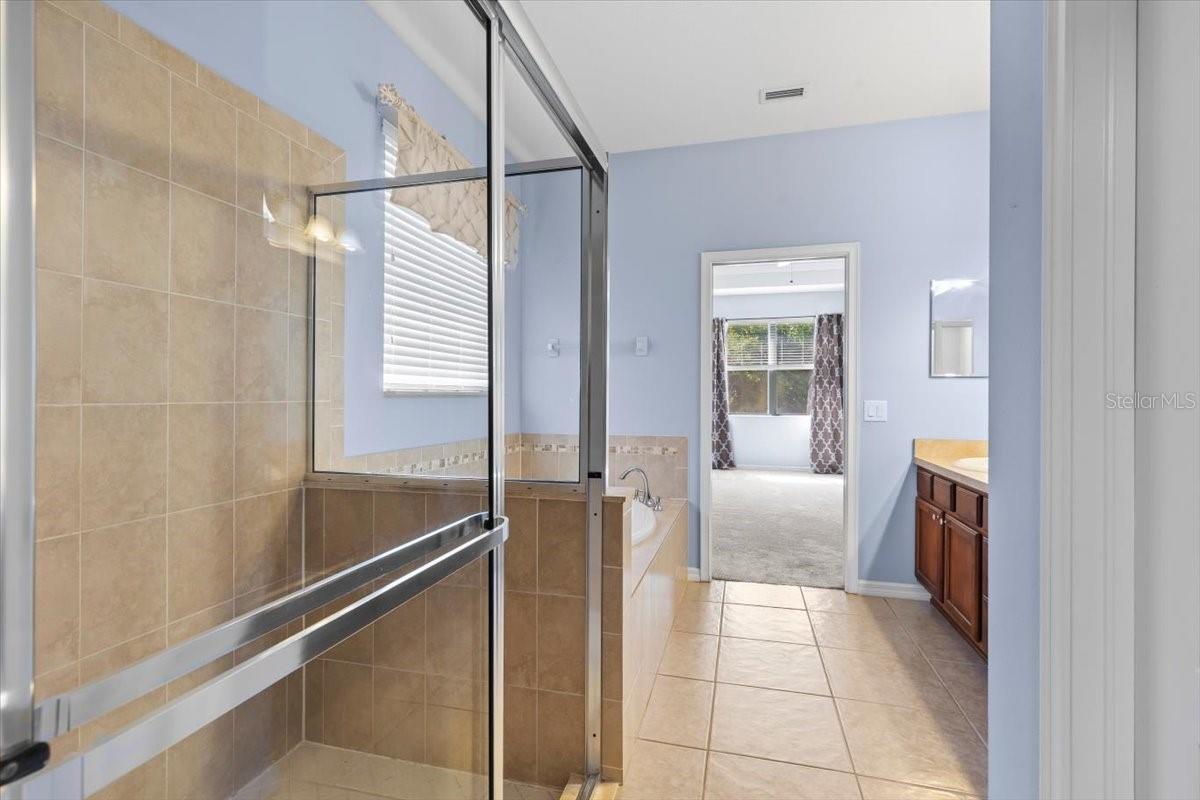 Walk-In Shower