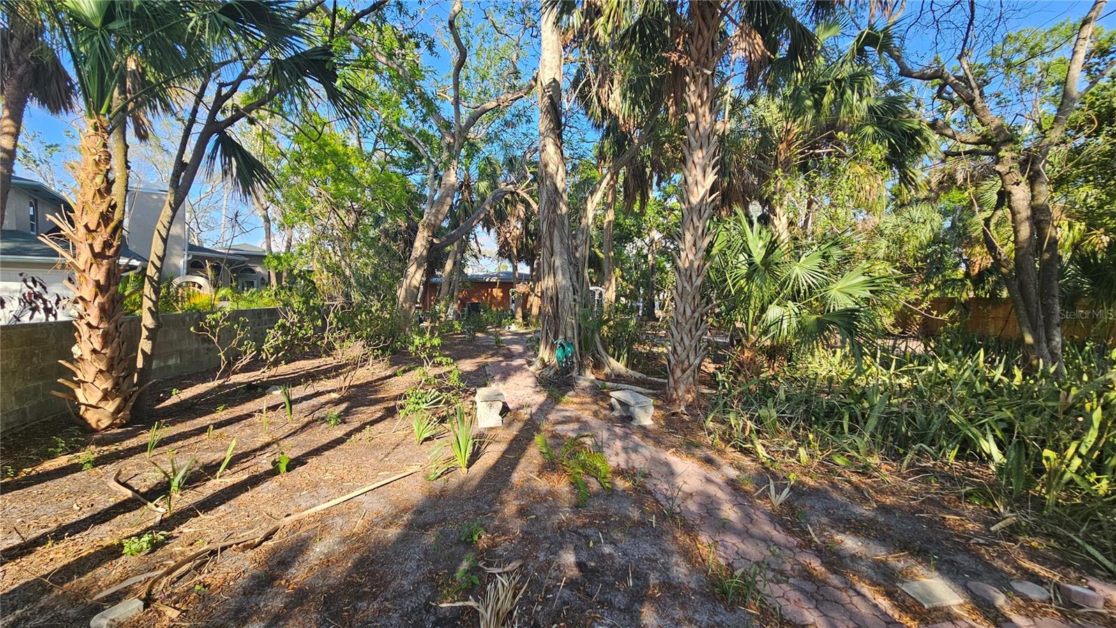 large lot