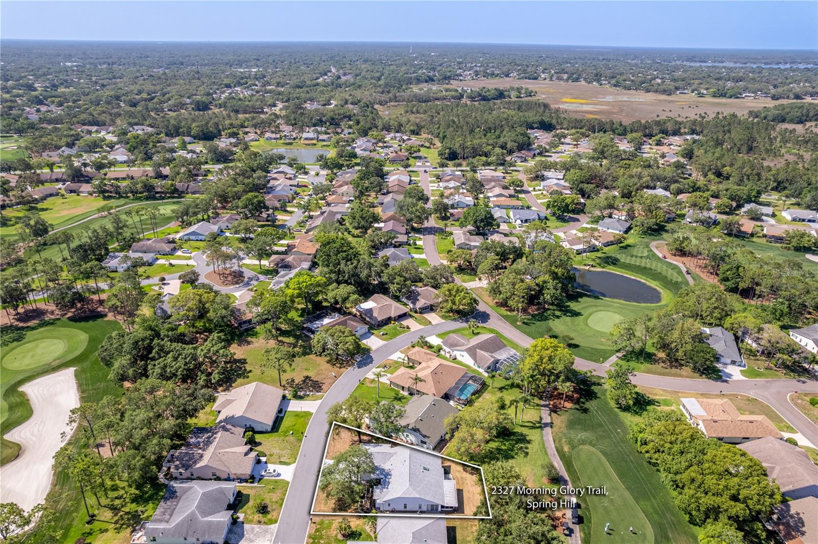 W7874998