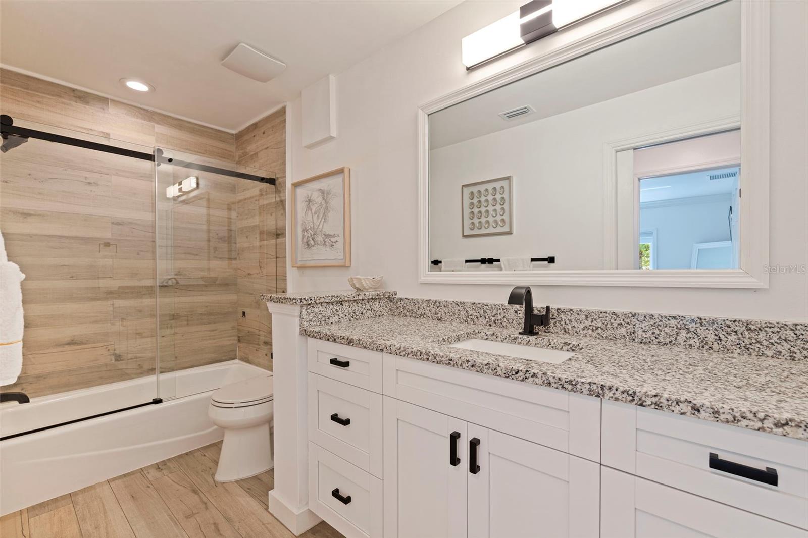 Guest bathroom
