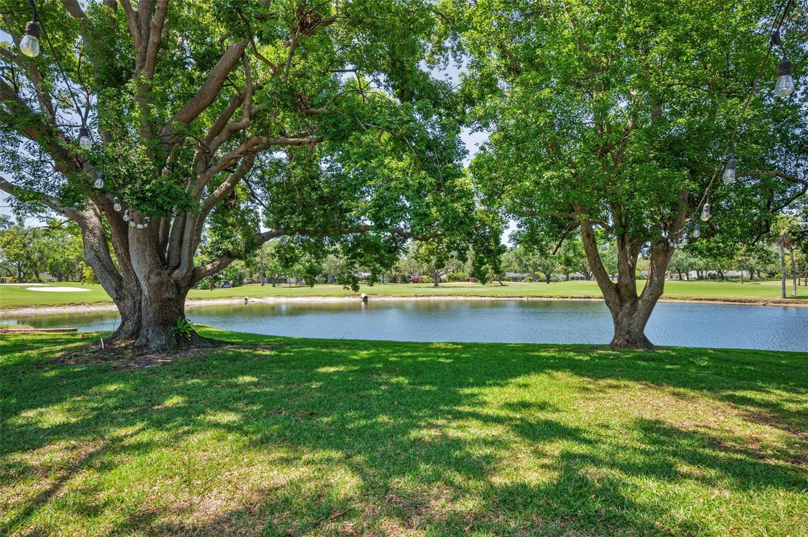 Shady yard and serene views
